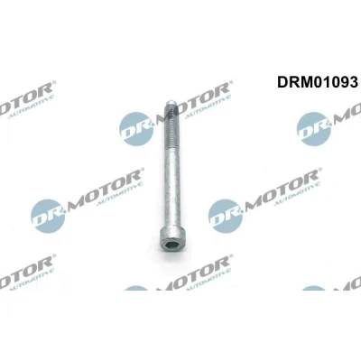 Imagen de DR.MOTOR AUTOMOTIVE DRM01093 Tornillo, soporte inyector CITROËN: Jumper II Furgón, C4 Picasso 1, Grand 2, PEUGEOT: 407 Berlina