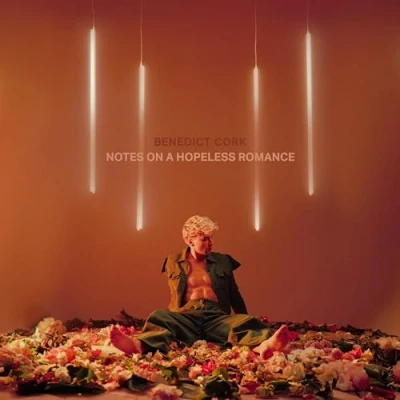Imagen de Notes On A Hopeless Romance [Vinilo]
