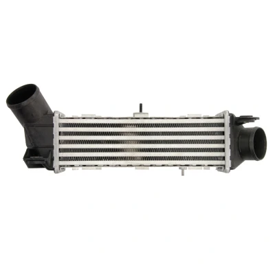 Imagen de THERMOTEC DAT002TT Intercooler Aluminio, Plástico 295 X 85 mm SEAT: Ibiza 2, Córdoba I Berlina