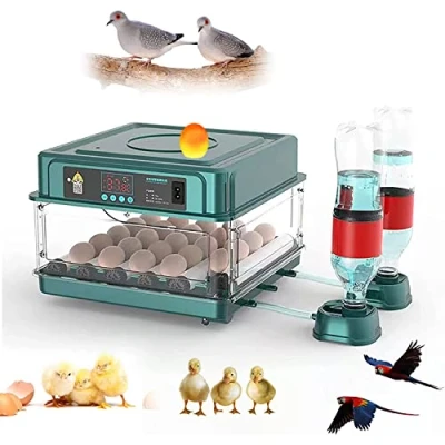 Imagen de Incubadora Huevos Gallina Automática,Incubadoras de 12 16 Automáticas,Incubadora Pollos para el Hogar,Control temperatura Monitoreo humedad, gallinas,Patos,Gansos,codornices
