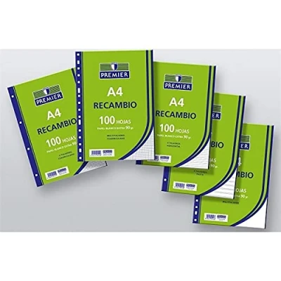 Imagen de RECAMBIO A4 100H 90GR 4/T MILIMETRADO