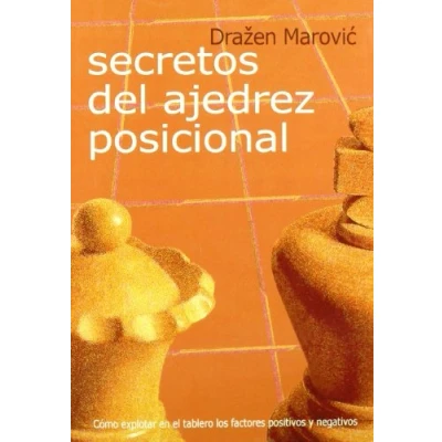 Imagen de Secretos del ajedrez posicional