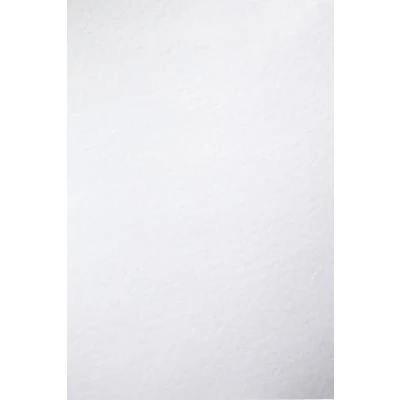 Imagen de Netuno 100 hojas de cartón texturizado blanco con relieve en martillado fino A4 210 x 297 mm 246 g Elfenbens Ultrawhite cartulina bilateral para impresoras tarjetas visita certificados