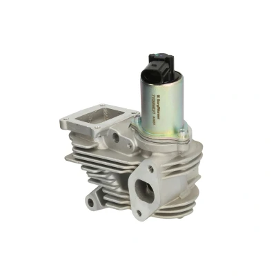 Imagen de WAHLER 710959D/1 Válvula EGR eléctrico con junta RENAULT: GRAND SCENIC 2, MEGANE 2