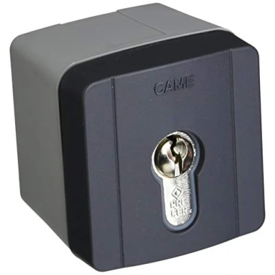 Imagen de came Selector con llave de Externo