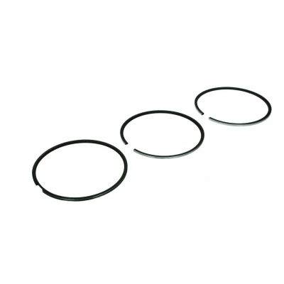 Imagen de Juego de segmentos MAHLE 209 22 N0