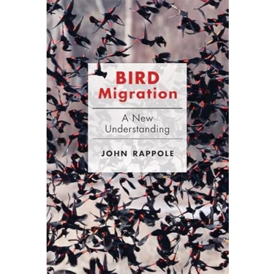 Imagen de Bird Migration