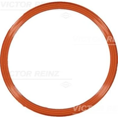 Imagen de REINZ 71 10829 00 Junta Colector de Admision VOLKSWAGEN: Amarok Pick up