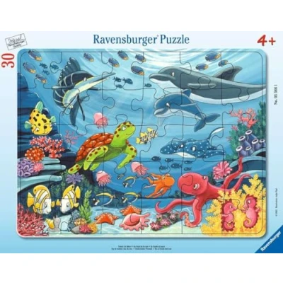 Imagen de Ravensburger Puzzle Infantil con Marco (30 48 Piezas, para niños a Partir de 4 años), Multicolor (05566)