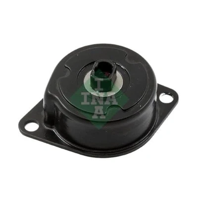 Imagen de Brazo tensor, correa auxiliar INA 534 0407 10