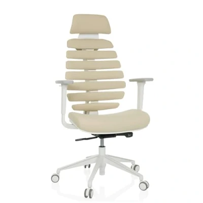 Imagen de hjh OFFICE Silla de Oficina Profesional giratoria Ergo Line W con Respaldo ergonómico Incl. Soporte Lumbar, Beige