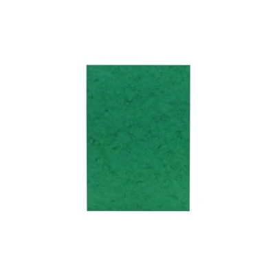 Imagen de Clairefontaine Ref 3136Z Tarjeta de color Europa (paquete 50 hojas) Tamaño A4 (297 x 210 mm), 265 g/m², 300 micras, sin ácido, verde