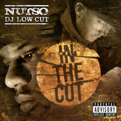Imagen de In The Cut (vinilo)