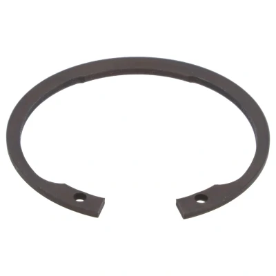 Imagen de FEBI BILSTEIN 01679 Circlip