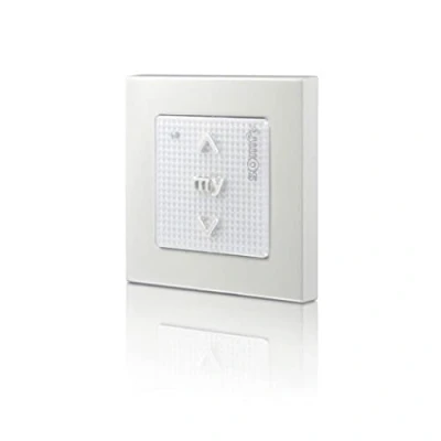 Imagen de Somfy Smoove 1811533 RTS Interruptor de pared (1 canal)