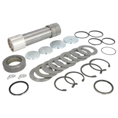Imagen de Kit de reparación, pivote C.E.I 230017