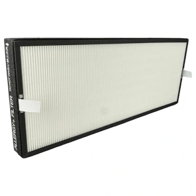 Imagen de vhbw 1x Filtro HEPA compatible con Rowenta Intense Pure Air XL Connect PU6080F0, PU6080 humidificador aire de repuesto