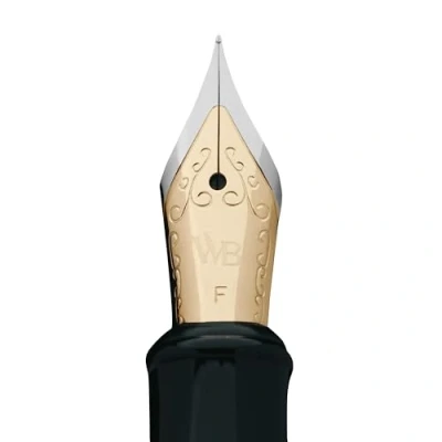 Imagen de Erudite Fine Nib (Black section Gold trim) 1pc Poly bag packaging