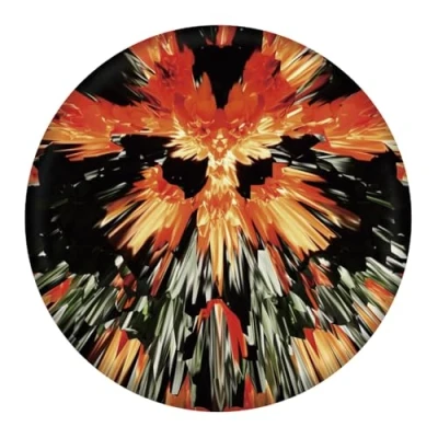Imagen de Waboba Wingman Pro Disco de Silicona Plegable Vuela Recto y Lejos, Niños Adultos Tamaño Flames, Juventud Unisex, One Color, Size
