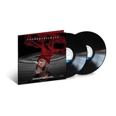 Imagen de uNomkhubulwane [Vinilo]