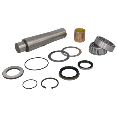 Imagen de Kit de reparación, pivote C.E.I 230005