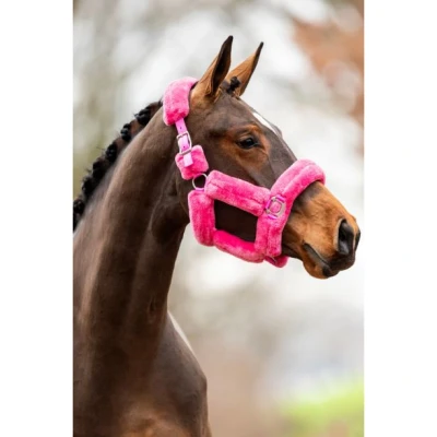 Imagen de HB showtime Allround Teddy halter