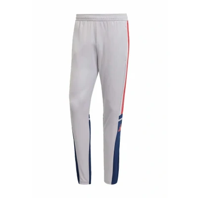 Imagen de adidas Hombre SQUADRA25 Training Pant, Glory Grey/Team Navy Blue 2 / Pure Ruby, XS