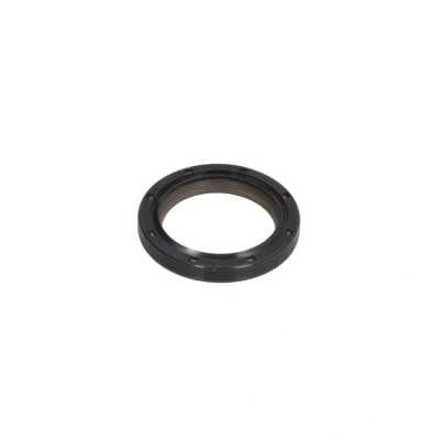 Imagen de REINZ 81 38627 00 Retén de Árbol Levas RENAULT: LAGUNA 1, CLIO 2, MEGANE 2