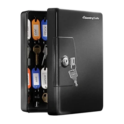 Imagen de SentrySafe KB25 Armario para Llaves con 25 Ganchos (3,7 litros), Color Negro