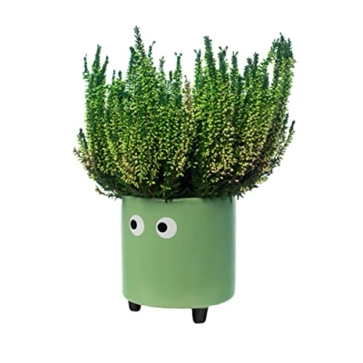 Imagen de Fisura Macetero original con diseño de ojos. decorativo interior. patas para cactus. Maceta cerámica flores y suculentas.13 x 12,5 cm. (Verde)