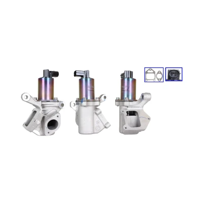 Imagen de DRI 717720341 Válvula EGR eléctrico con juntas SSANGYONG: ACTYON 1, Rodius I, Rexton / 2
