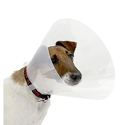 Imagen de Croci Collar Isabelino para Perros Talla XXL, En Forma De Cono La Protección Y Cuidado Gatos, Evita Arañazos, Mordeduras Lametones, 30 Cm