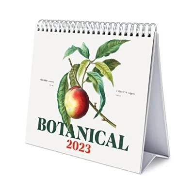 Imagen de Grupo Erik, Calendario Escritorio Deluxe Botanical 2023, 2023 sobremesa con certificado FSC mesa anual, CS23025,