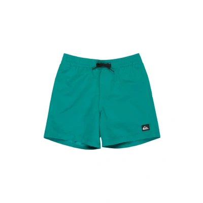 Imagen de Quiksilver Everyday Solid Volley YTH 14 Pantalones Cortos, Verde Azulado, 16 años para Niños