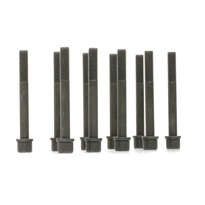 Imagen de REINZ 14 32159 01 Juego de Tornillos Culata Torx interior RENAULT: CLIO 1, MEGANE 19 II Chamade