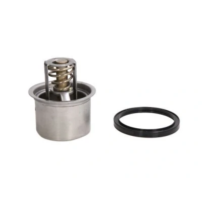 Imagen de THERMOTEC D2RV004TT Termostato, refrigerante 82 con junta