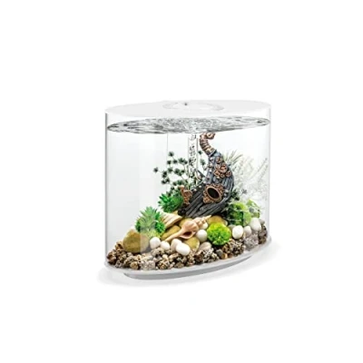 Imagen de acuario biOrb Loop 30 LED, litros, blanco set completo de con sistema filtro patentado, cubeta acrílica