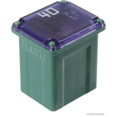 Imagen de HERTH+BUSS ELPARTS 50295333 Fusible 40 verde 58
