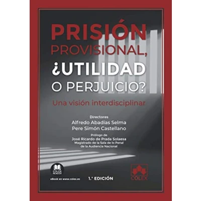 Imagen de Prisión provisional, ¿utilidad o perjuicio?: Una visión interdisciplinar: 1 (Monografía)