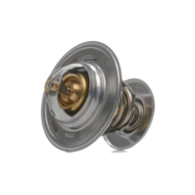 Imagen de MEYLE 100 121 0048 Termostato, refrigerante 87 ORIGINAL Quality con junta VOLKSWAGEN: Golf 2, Passat B5 GP Berlina, 4, SEAT: Toledo 2 Limousine