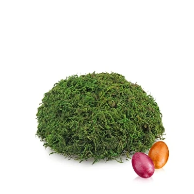 Imagen de com four® 100 g de Musgo Artesanal Verde DIY para cestas Pascua Decorativo Real elaborar y Decorar (Set2 Deco)