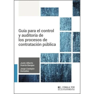 Imagen de Guía para el control y auditoría de los procesos contratación pública (SIN COLECCION)