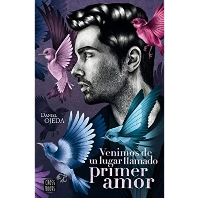 Imagen de Venimos de un lugar llamado primer amor (Ficción)