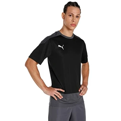 Imagen de PUMA Teamgoal 23 Camiseta de Entrenamiento, Hombre, Negro (Puma Black/Asphalt), 3XL
