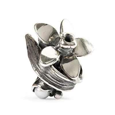 Imagen de Trollbeads 51749 Abalorio de plata