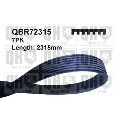 Imagen de QUINTON HAZELL QBR72315 Correa trapecial poli V 2315 7 MERCEDES BENZ: Clase E Berlina, C CLK Coupé