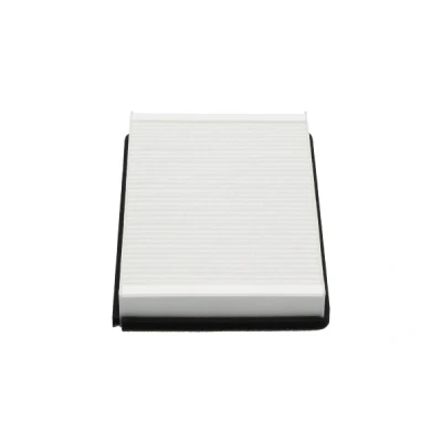 Imagen de KAVO PARTS DC 1001 Filtro de habitáculo antipolen 255mm 155mm 29mm