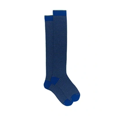 Imagen de Gallo Calcetines largos a rayas windsor azul copiativo