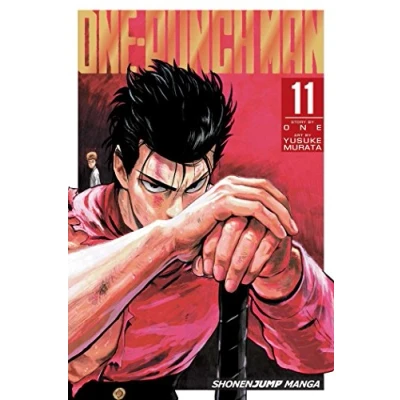 Imagen de One punch Man Vol. 11