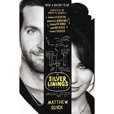 Imagen de Silver linings playbook